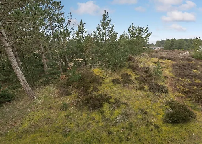 Reijo By Interhome * Tagholm